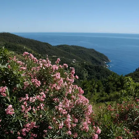 Willa Maison De Charme Giulietta Bonassola